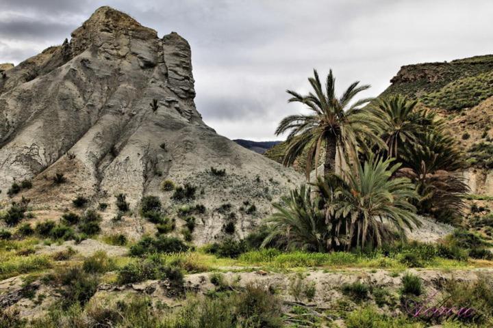 Alojamiento Las Dunas Bajo Tabernas Exterior photo